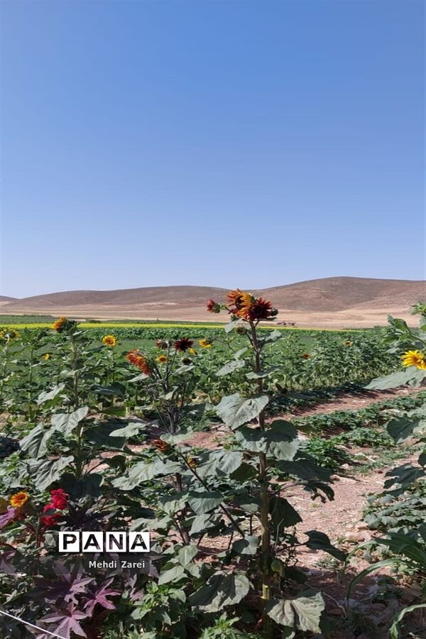 زیبایی‌های چلگرد و کوهرنگ