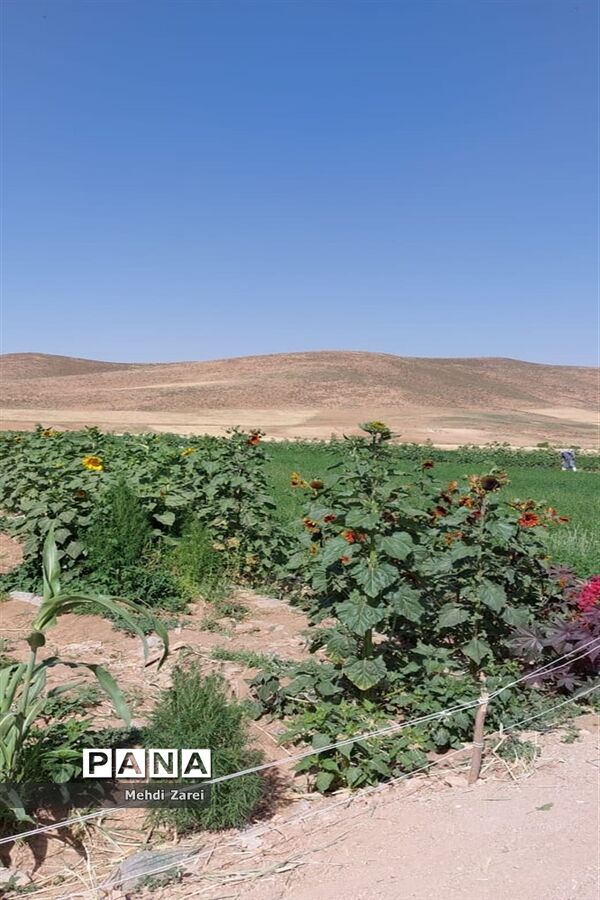 زیبایی‌های چلگرد و کوهرنگ