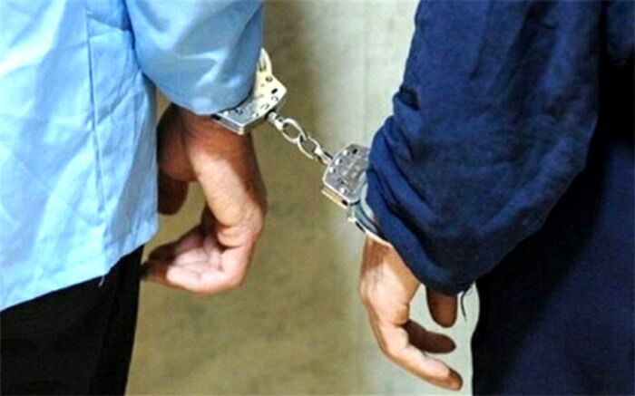 دستگیری 2 نفر از عاملان ایجاد رعب و وحشت در محله مولوی