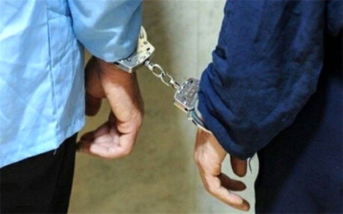 دستگیری 2 نفر از عاملان ایجاد رعب و وحشت در محله مولوی