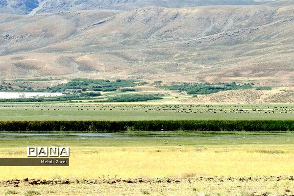 هنر آفرینی خداوند در طبیعت  تالاب چغاخور در چهار محال و بختیاری