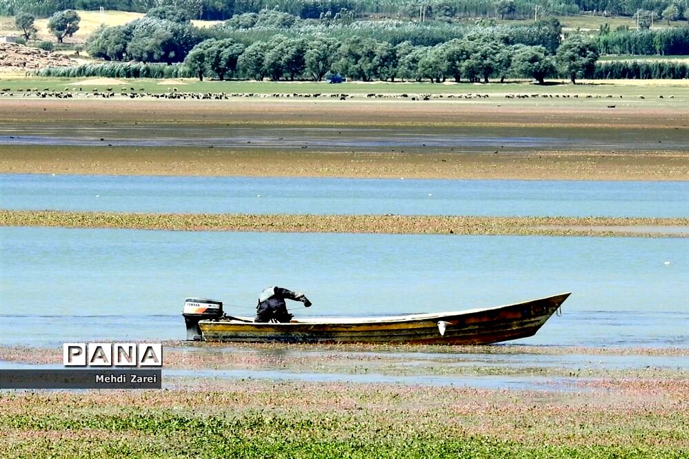 هنر آفرینی خداوند در طبیعت  تالاب چغاخور در چهار محال و بختیاری