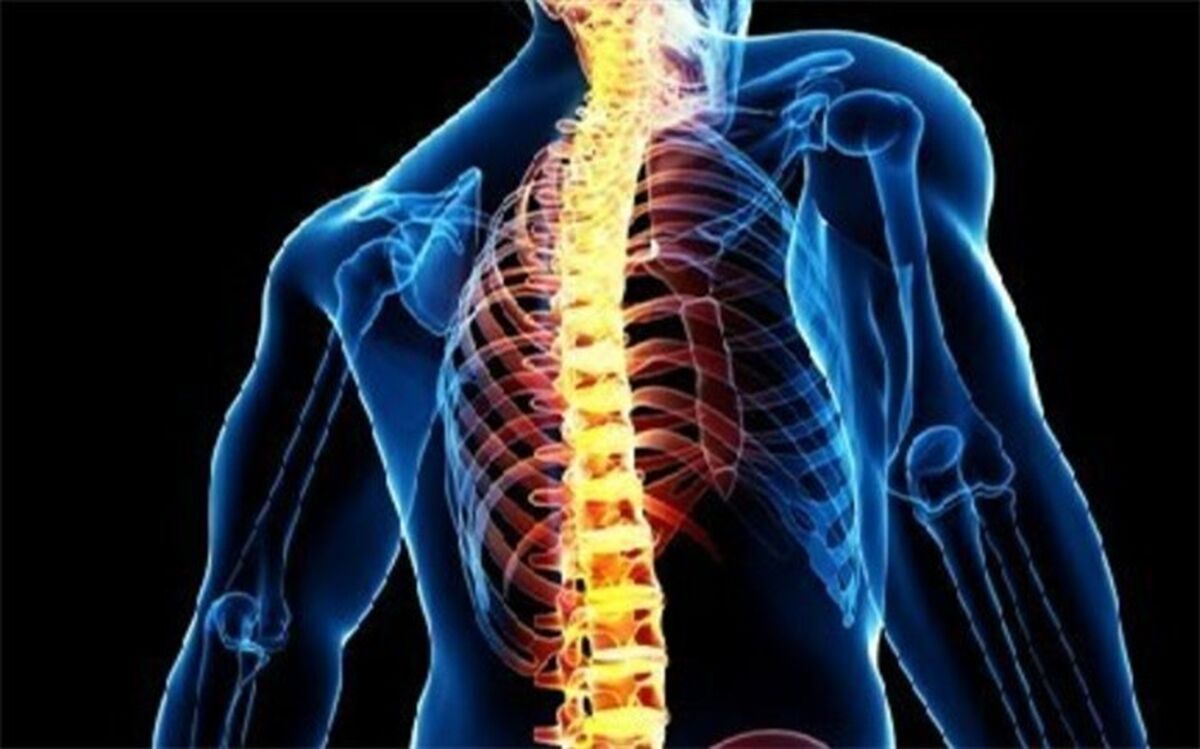۶ دشمن ستون فقرات