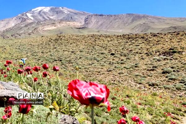 طبیعت زیبای قله دماوند