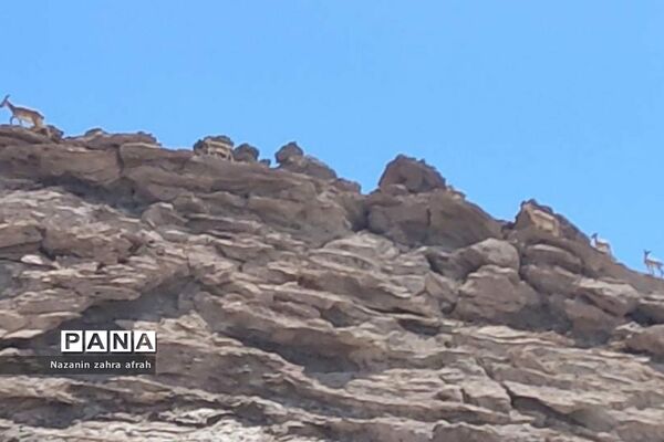 طبیعت زیبای قله دماوند