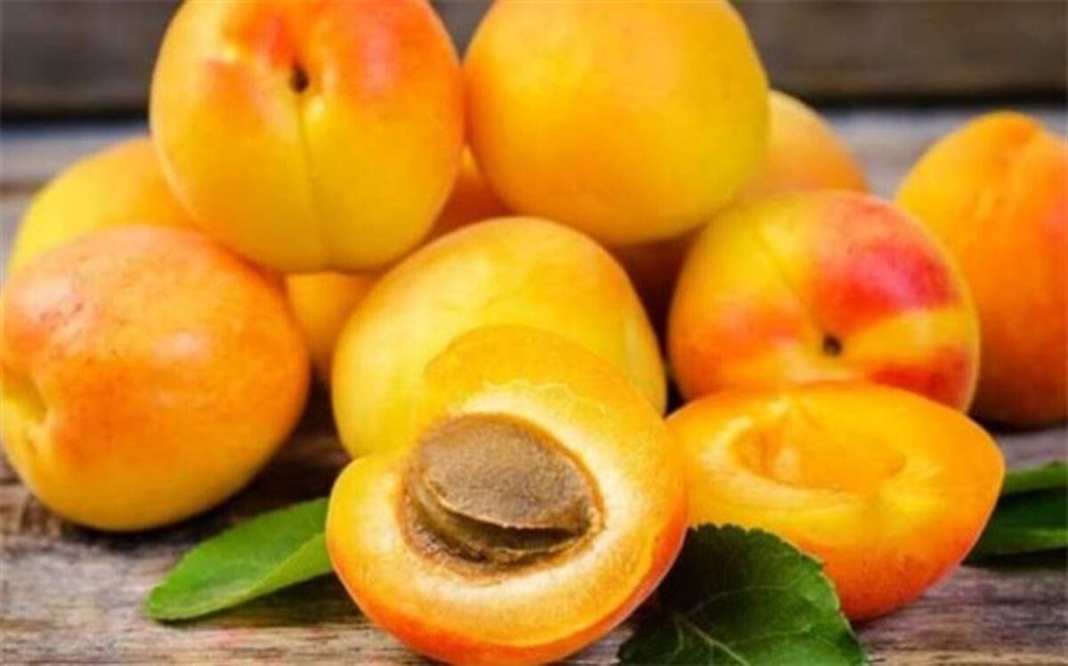 آیا خوردن هسته زردآلو مضر است