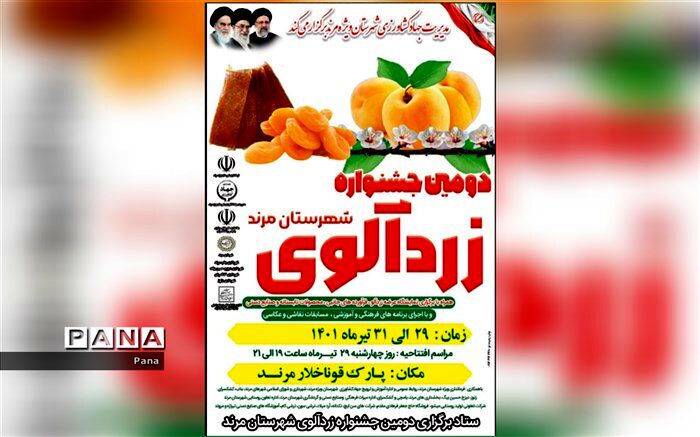 آغاز برداشت زردآلو از 2 هزار و 425 هکتار از باغات شهرستان مرند