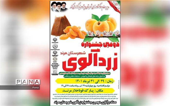 آغاز برداشت زردآلو از 2 هزار و 425 هکتار از باغات شهرستان مرند