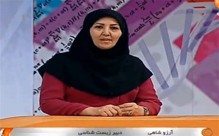 ایجاد انگیزه کلید تاثیرگذار تعلیم و تربیت است