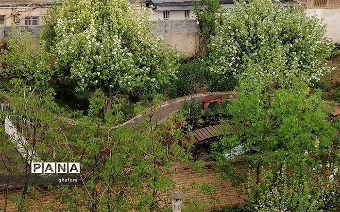 هشدار هواشناسی به کشاورزان به دلیل تشدید بارش‌های مونسونی و تابستانی