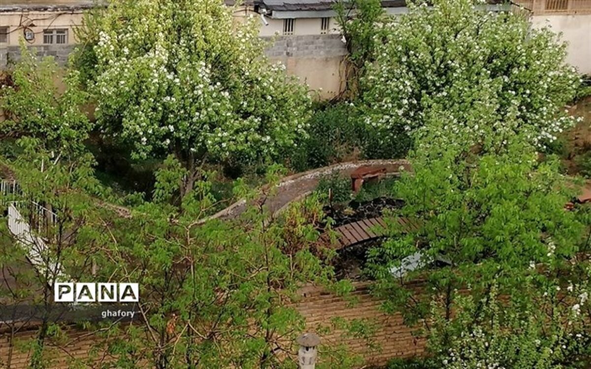 هشدار هواشناسی به کشاورزان به دلیل تشدید بارش‌های مونسونی و تابستانی