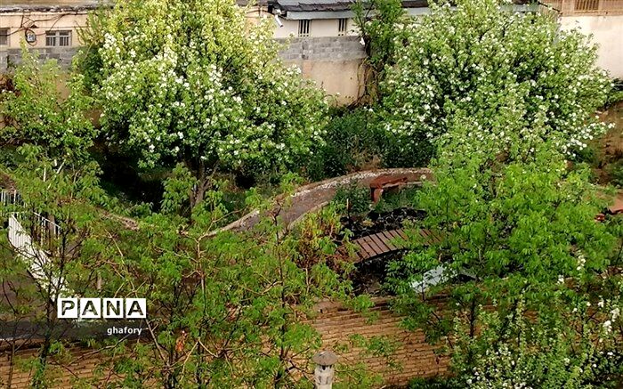 هشدار هواشناسی به کشاورزان به دلیل تشدید بارش‌های مونسونی و تابستانی