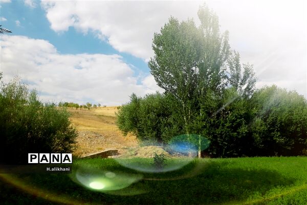 طبیعت تابستانی روستای دره بید شهرستان کوهرنگ