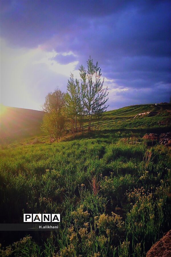طبیعت تابستانی روستای دره بید شهرستان کوهرنگ