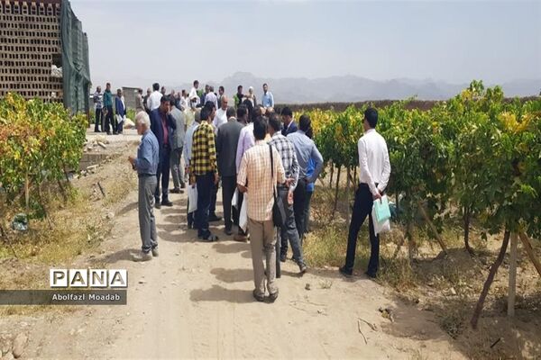 برگزاری مراسم روز مزرعه در خلیل‌آباد