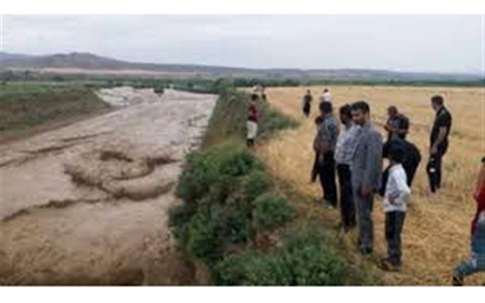 وقوع سیلاب بیش از ۵۶ میلیارد ریال به کشاورزی استان قزوین آسیب زد