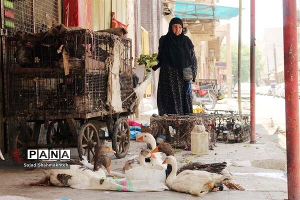 اهواز؛ زندگی در زیست بوم گرما