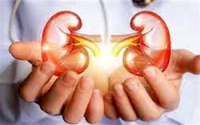 کارهای مضر برای ‌نابودکردن کلیه‌ها