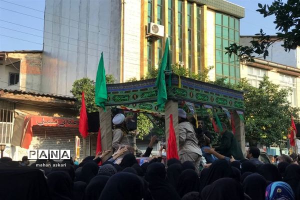 شهدای مدافع حرم، میهمان خیل عزاداران حسینی در گلوگاه