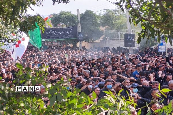 حرکت دسته حسینیه اعظم زنجان در یوم العباس