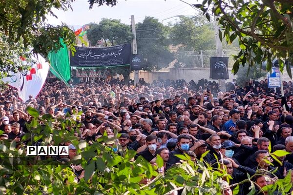 حرکت دسته حسینیه اعظم زنجان در یوم العباس