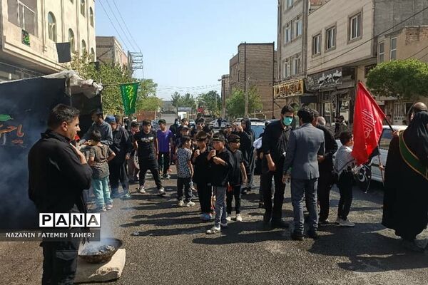 برگزاری سوگواره احلی من العسل در فشافویه