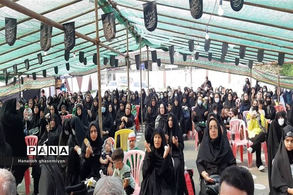 همایش شیرخوارگان حسینی در شهرستان عباس آباد