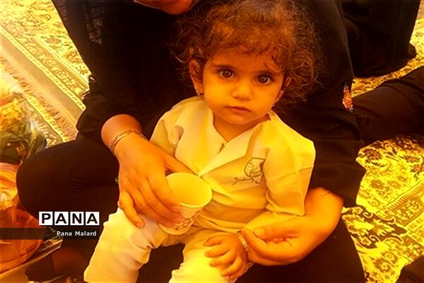 همایش شیرخوارگان حسینی درشهرستان ملارد