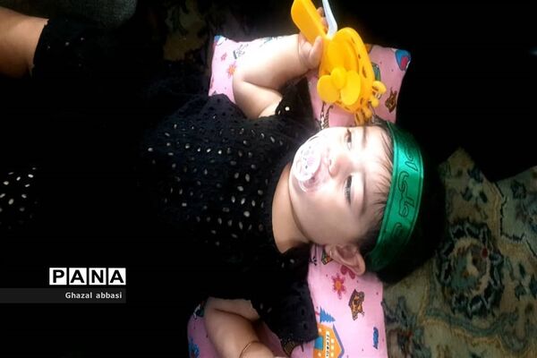 همایش شیرخوارگان حسینی با مهمانانی از جنس آسمان درمحمود آباد
