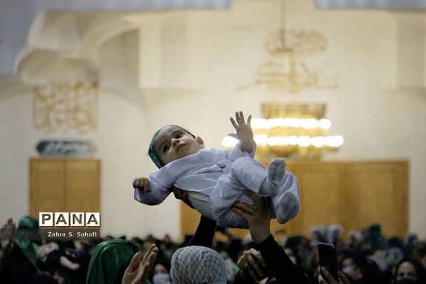 سوگواره شیرخوارگان حسینی(ع) در حرم حضرت معصومه(س)-2