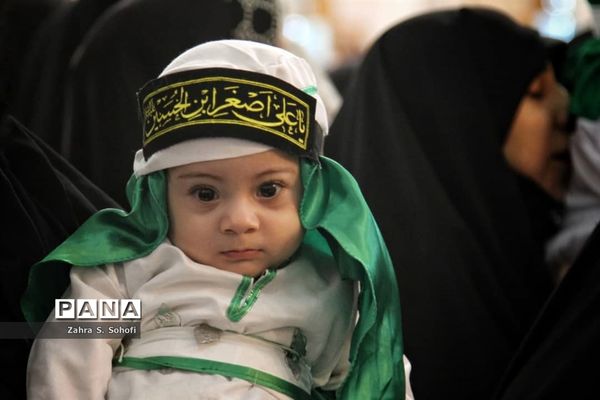 سوگواره شیرخوارگان حسینی(ع) در حرم حضرت معصومه(س)-2