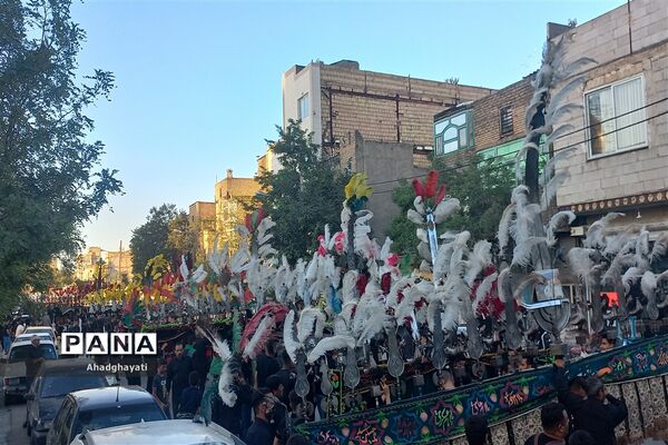 دسته‌روی عزاداران حسینی تا حرم مطهر رضوی