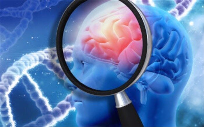 برای مبارزه با فراموشی و آلزایمر چه بخوریم؟