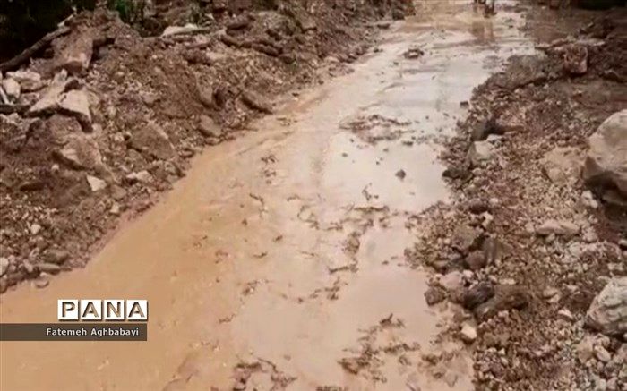 ارائه خدمات ویژه به هموطنان در مناطق سیل‌زده