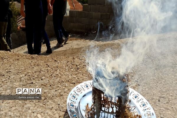 عزاداری تاسوعای حسینی در شهرستان نور
