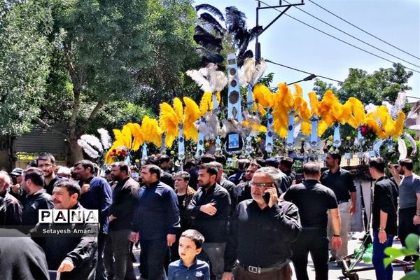 مشهد مقدس در روز تاسوعا