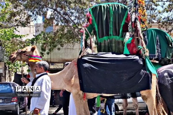 مشهد مقدس در روز تاسوعا