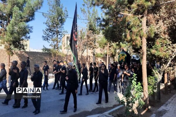 آیین نخل گردانی در شهر بادرود