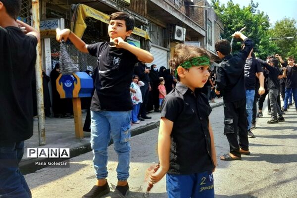 برگزاری مراسم عاشورای حسینی در گلستان