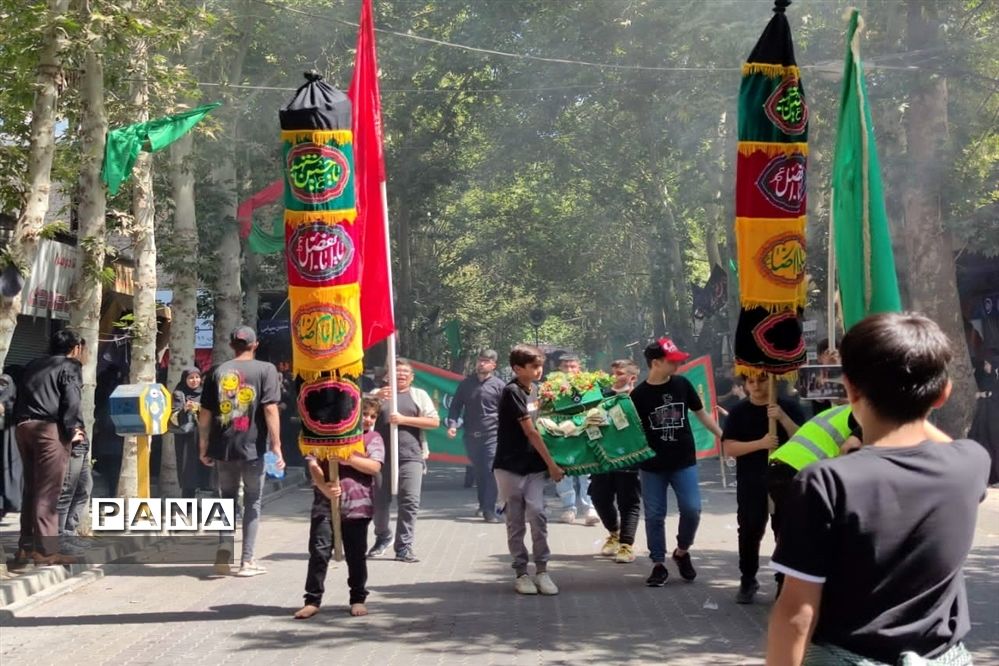 برگزاری عزاداری روز عاشورای حسینی در شهرستان نظر آباد