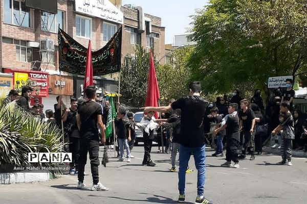 دسته‌عزاداری امام حسین (ع) در روز عاشورا در شهرری
