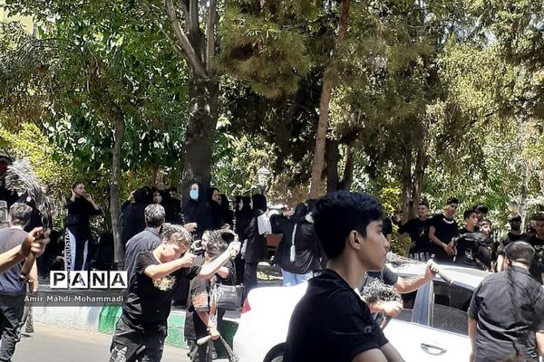 دسته‌عزاداری امام حسین (ع) در روز عاشورا در شهرری
