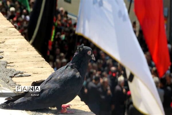 مراسم ظهر عاشورا در حسینیه شهر بافران