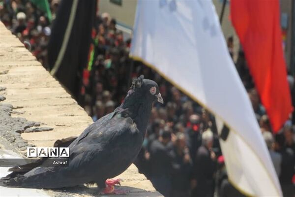 مراسم ظهر عاشورا در حسینیه شهر بافران