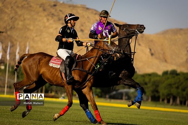 مسابقه چوگان آقایان جام مالکین