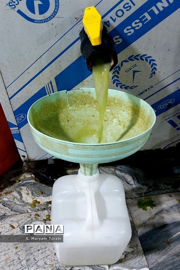 آبغوره‌گیری در شیراز