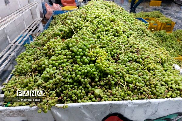 آبغوره‌گیری در شیراز