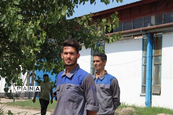 بازدید وزیر اقتصاد از شرکت نکاچوب میاندورود