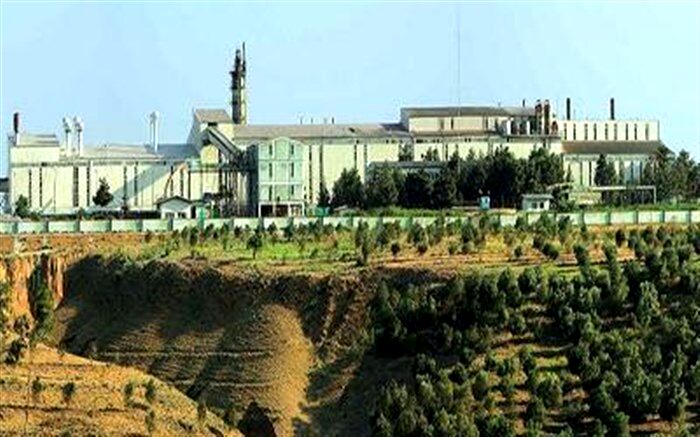 کشت و صنعت مغان به شرکت سودآور تبدیل شده است