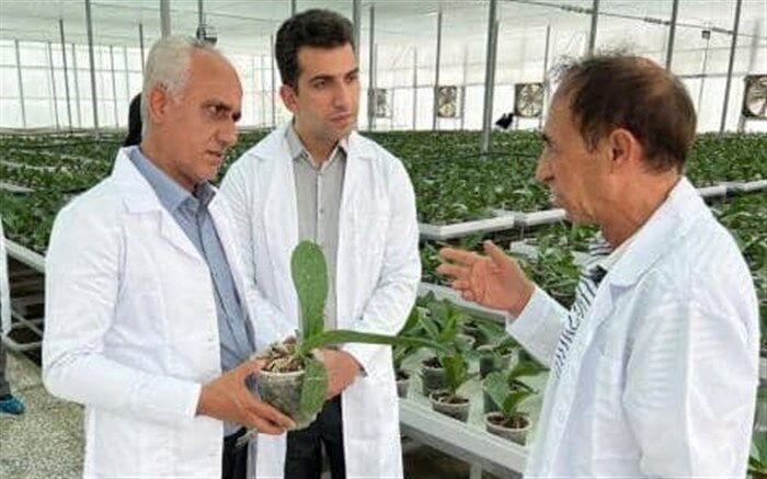 اعطای تسهیلات ویژه برای متقاضیان تاسیس گلخانه در روستا